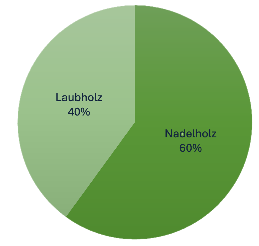 Zusammensetzung des Waldbestandes